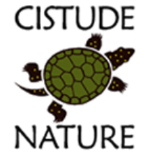 Cistude